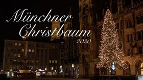Vorschaubild der Dokumentation über den Christbaum aus Steingaden am Münchner Marienplatz