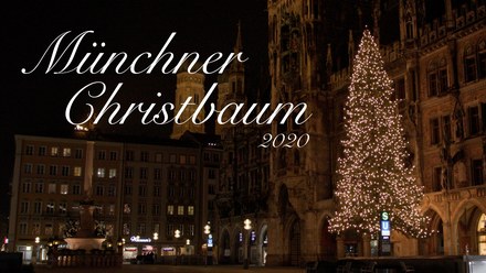 Vorschaubild der Dokumentation über den Christbaum aus Steingaden am Münchner Marienplatz